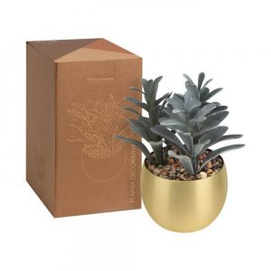 PLANTA DECORATIVA DAKAR personalizada